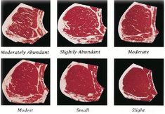 Beef Grading Chart